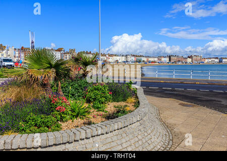 Weymouth, promenade et plage de sable principale centre ville ville de bord côte sud, dorset, England, UK, FR Banque D'Images