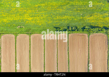 Domaine agricole et labouré pré vert Vue de dessus de l'antenne. Et la texture de fond naturel Banque D'Images