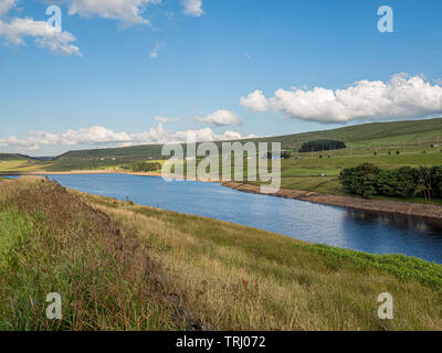 Bois stand réservoir avec de l'autoroute M62 en arrière-plan, West Yorkshire, Royaume-Uni. Banque D'Images
