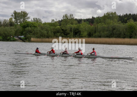 Les femmes de l'aviron sur la rivière Bann à Coleraine en Irlande du Nord. Banque D'Images