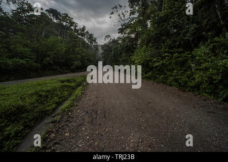 La route menant au parc national Yasuni en Equateur. Il mène à travers la forêt amazonienne. Banque D'Images