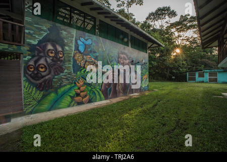 Le coucher de soleil sur la station de recherche de Yasuni en Equateur, une peinture murale représentant la nature est visible sur le côté d'un immeuble. Banque D'Images