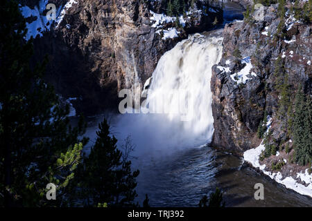 La Yellowstone River coule sur Upper Falls dans le Grand Canyon de la Yellowstone en parc national de Yellowstone Banque D'Images