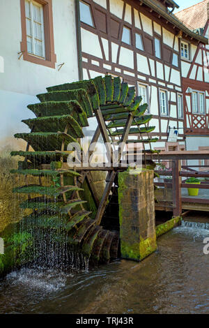 Moulin à eau historique à la vieille ville, flux Queich de Annweiler am Trifels, Rhénanie-Palatinat, Allemagne Banque D'Images