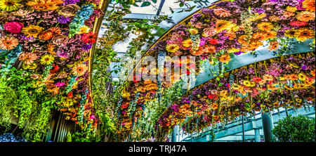 Singapour - 30 avril, 2019 : Entrée de la nouvelle attraction de Gardens By The Bay, floral fantaisie. Fantasy floral est la dernière attraction thématique à l'Ag Banque D'Images