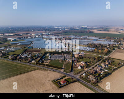 Vue aérienne de serres commerciales, le siège de l'horticulture au Royaume-Uni Spalding Lincolnshire. Banque D'Images