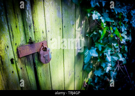 Un porte rustique avec lierre sur envahi par un hangar à Trimmingham, Norfolk Banque D'Images