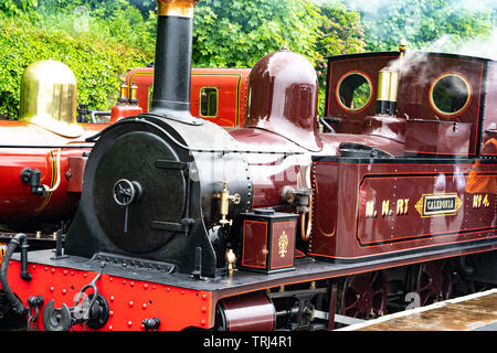 Machine à vapeur 'Caledonia', l'île de Man Steam Railway. Douglas à Port Erin. L'île de Man, UK Banque D'Images