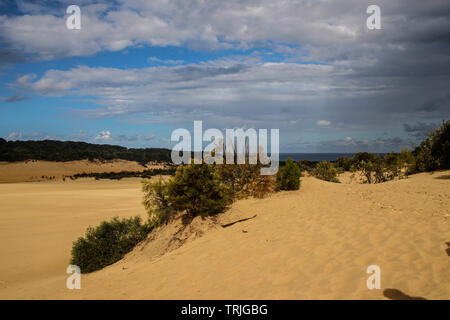 Percuteur Sandblow Tropical sur Fraser Island, Australie Banque D'Images