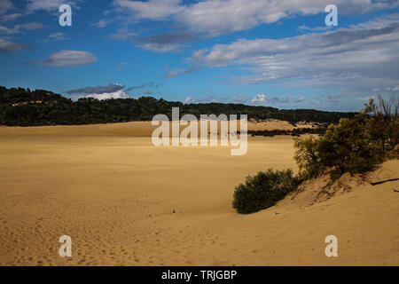 Percuteur Sandblow Tropical sur Fraser Island, Australie Banque D'Images