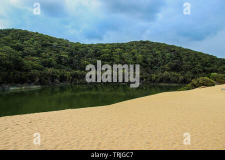 Lake Wabby et percuteur Sandblow sur Fraser Island, Australie Banque D'Images