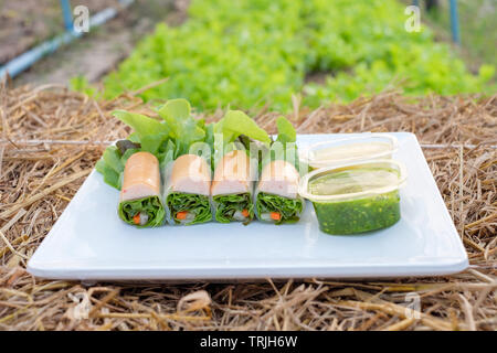 Rouleau de salade feuille de chêne verte et rouge organique avec le remplissage des saucisses et de la mayonnaise, sauce aux fruits de mer Banque D'Images