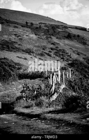 Noir et blanc ou monochrome d'une vieille ferme la voie avec une clôture longeant dans les montagnes du Nord du Pays de Galles Banque D'Images