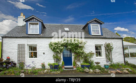 Cottage en pierre blanche pittoresque avec plantes grimpantes autour de porte et lucarnes sous ciel bleu à Dornie, Ecosse Banque D'Images