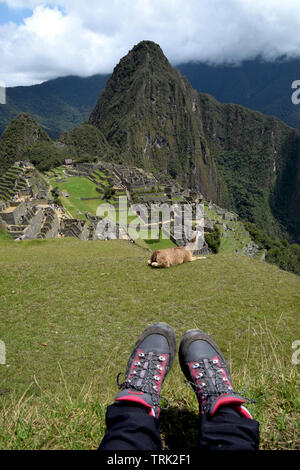 Chaussures de randonnée sur l'herbe avec un lama et le célèbre destination voyage Machu Picchu en arrière-plan Banque D'Images