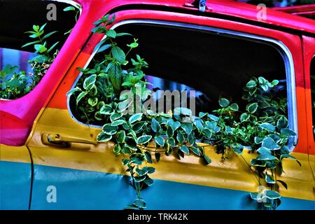 Une vieille voiture Fiat 500 italiennes peintes de couleurs arc-en-ciel, immergé dans les plantes grimpantes, garée sur un trottoir. Banque D'Images