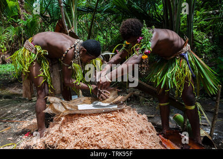 Démonstration de faire de sagou, Tufi, province de Oro, la Papouasie-Nouvelle-Guinée Banque D'Images