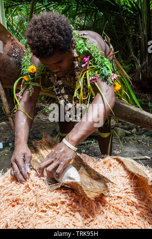 Démonstration de faire de sagou, Tufi, province de Oro, la Papouasie-Nouvelle-Guinée Banque D'Images