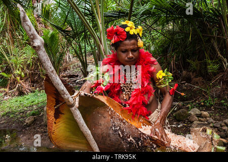 Démonstration de faire de sagou, Tufi, province de Oro, la Papouasie-Nouvelle-Guinée Banque D'Images