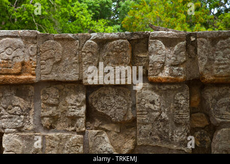 Iguana en la Plataforma de los o Cráneos Tzompantli. Yacimiento Arqueológico Maya de Chichén Itzá. Estado de Yucatán, península de Yucatán, México, Am Banque D'Images