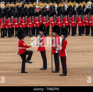 Londres, Royaume-Uni. 8 juin 2019 la parade la couleur 2019, défilé de l'anniversaire de la Reine sur Horseguards Parade Londres en présence de Sa Majesté la Reine. Dépêche de couleur par le 1er Bataillon Grenadier Guards Credit Ian Davidson/Alamy Live News Banque D'Images