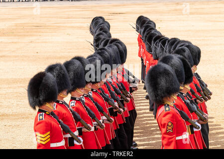 Londres, Royaume-Uni. 8 juin 2019 la parade la couleur 2019, défilé de l'anniversaire de la Reine sur Horseguards Parade Londres en présence de Sa Majesté la Reine. Dépêche de couleur par le 1er Bataillon Grenadier Guards Credit Ian Davidson/Alamy Live News Banque D'Images