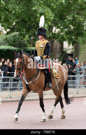 Chargeur plomb Paillettes Lucy cheval monté par le grand Harry Wallace Mall, Londres, Royaume-Uni de Horse Guards Parade pour la parade de la couleur en 2019. Les Kings Royal Horse Artillery Banque D'Images