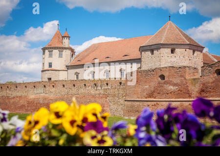 Forteresse de Fagaras en Roumanie. Brasov, Brasov, Roumanie. Banque D'Images