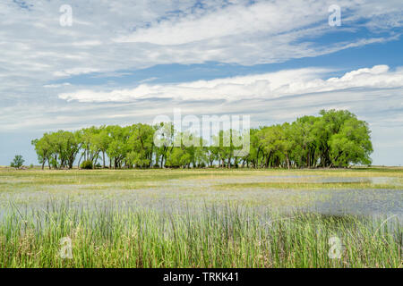 Champs inondés et de la vallée de la rivière Elkhorn dans Nebraksa Sandhills Banque D'Images