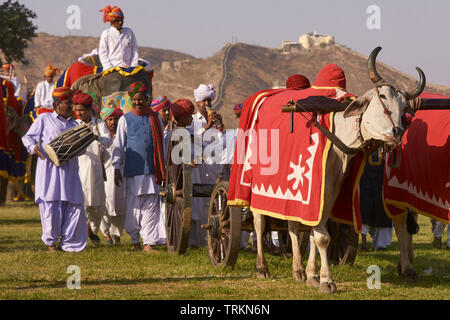 Les éléphants décorés et parade cornacs lors de l'assemblée annuelle du festival de l'éléphant à Jaipur, capitale du Rajasthan. Banque D'Images