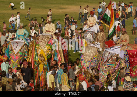 Les éléphants décorés et parade cornacs lors de l'assemblée annuelle du festival de l'éléphant à Jaipur, capitale du Rajasthan. Banque D'Images