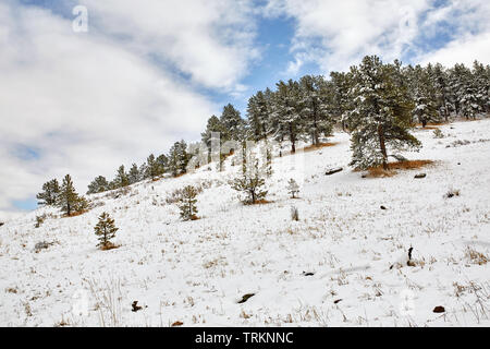 Une tempête de neige de printemps couvre la chaîne de montagnes, la vallée et les fers de Chautauqua Park, à Boulder, Colorado Banque D'Images