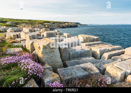 Il reste d'une ancienne carrière désaffectée à Portland Bill sur l'Île de Portland, dans le Dorset. L'Angleterre. UK. Banque D'Images