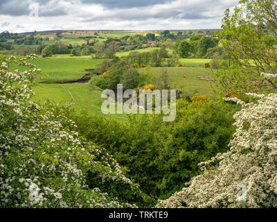 La rivière Esk circulant dans la campagne du Yorkshire du Nord Banque D'Images