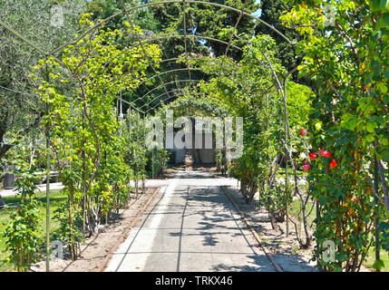 Nice, France - 19 juin 2014 : magnifique jardin du monastère de Cimiez Banque D'Images