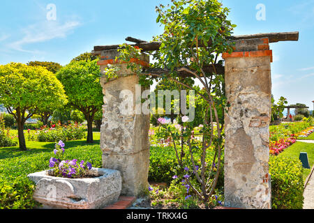 Nice, France - 19 juin 2014 : magnifique jardin du monastère de Cimiez Banque D'Images