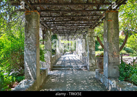 Nice, France - 19 juin 2014 : magnifique jardin du monastère de Cimiez Banque D'Images