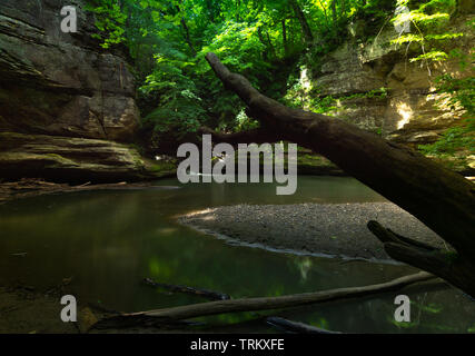 L'eau coule dans l'Illinois Canyon lors d'une belle journée de printemps.Parc national de Starved Rock, Illinois, États-Unis Banque D'Images