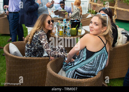 Londres, Royaume-Uni. 8 juin 2019, a fait à Chelsea's Amelia de brume à Chestertons polo dans le parc en 2019, le Crédit : Quan Van/Alamy Live News Banque D'Images