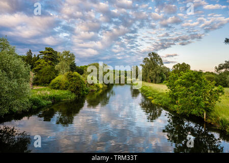 Ferry Meadows Country Park, Peterborough, Cambridgeshire, UK, June 8th, 2019, UK weather. Une belle soirée paisible sur la rivière Nene avec un maquereaux ciel reflète dans l'eau. Les maquereaux ciel de nuages altocumulus formés lorsqu'un front météorologique de basse pression, qui a produit de fortes pluies et le temps anormalement froid pour une bonne partie de la journée, disparu vers le nord faire place à un calme et ensoleillé en fin de soirée. Crédit : Michael David Murphy / Alamy Live News Banque D'Images