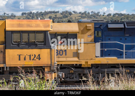 Deux trains de marchandises 92 locomotives diesel de la classe le transport du charbon vers le port de Newcastle à partir de mines dans la partie supérieure de la Hunter Valley en Nouvelle Galles du Sud, Australie Banque D'Images