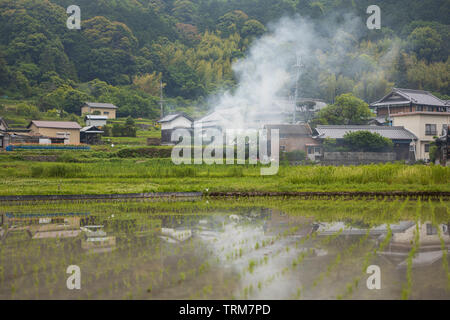 Nuage de fumée reflète en rizière inondée en petit village agricole japonais Banque D'Images