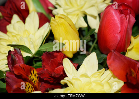 Superbe bouquet de fleurs différentes. Mélange de différentes couleurs d'œillets artificiel, pour la décoration Banque D'Images