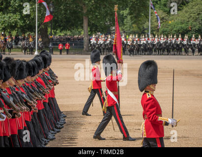 Horse Guards Parade. 8 juin 2019. Parade la couleur, l'anniversaire de la Reine Parade, Londres, Royaume-Uni. Credit : Malcolm Park/Alamy Banque D'Images