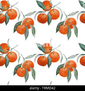 Aquarelle abstraite peinture à la main avec motif transparent la mandarine les branches et les feuilles on white Banque D'Images