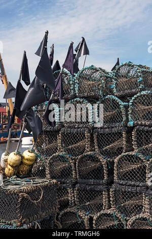 Homard (nasse) et des bouées entassés sur le quai du port d'Arbroath. Banque D'Images