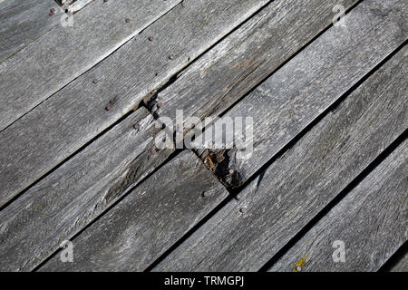 Planches en bois patiné sur une promenade Banque D'Images