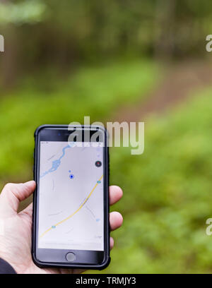 Personne holding smartphone avec une main avec la carte open app d'essayer de trouver le moyen d'un chemin ou sentier de randonnée en forêt à l'extérieur Banque D'Images