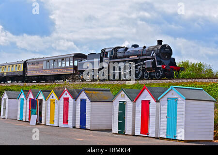 No75014 moteur 'Braveheart' de la Dartmouth Steam Railway, cuit en gare de Goodrington, passé une rangée de cabines colorées. Banque D'Images