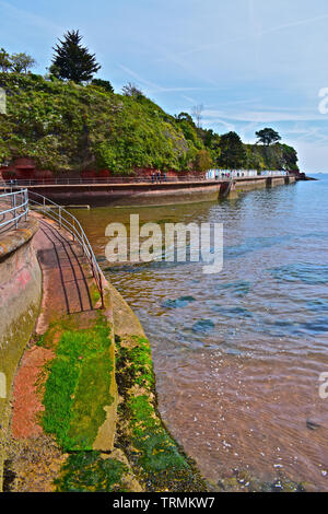 Une jolie rangée de cabines colorées line la promenade à la plage de Goodrington Sands au Nord. Marée basse, mer calme. Hiiside boisée derrière. Banque D'Images